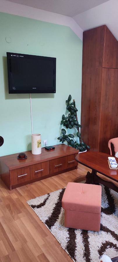 Apartman Sara Pale - Ski Centar Ravna Planina Zewnętrze zdjęcie