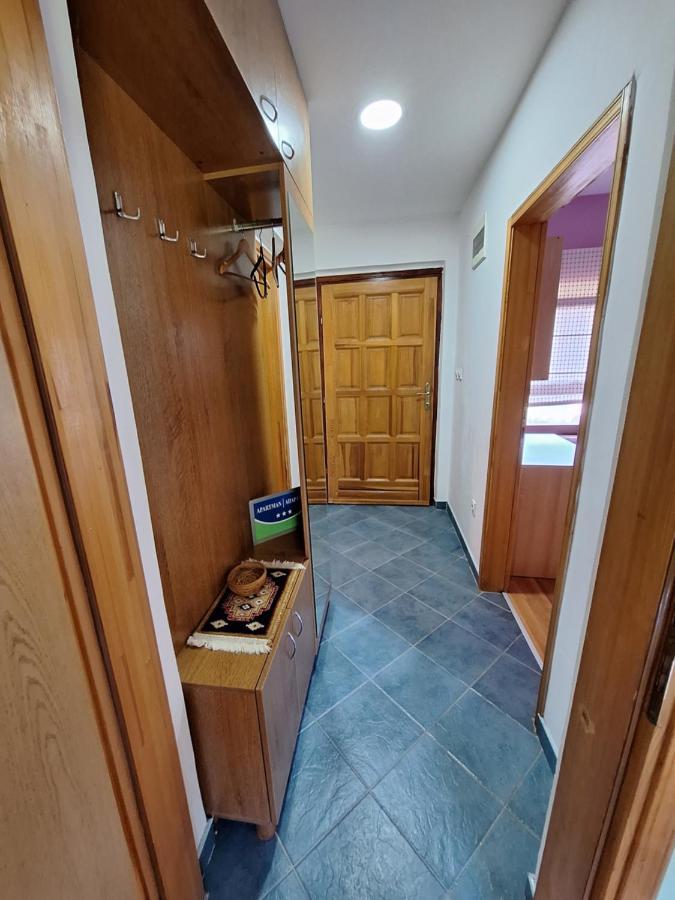Apartman Sara Pale - Ski Centar Ravna Planina Zewnętrze zdjęcie