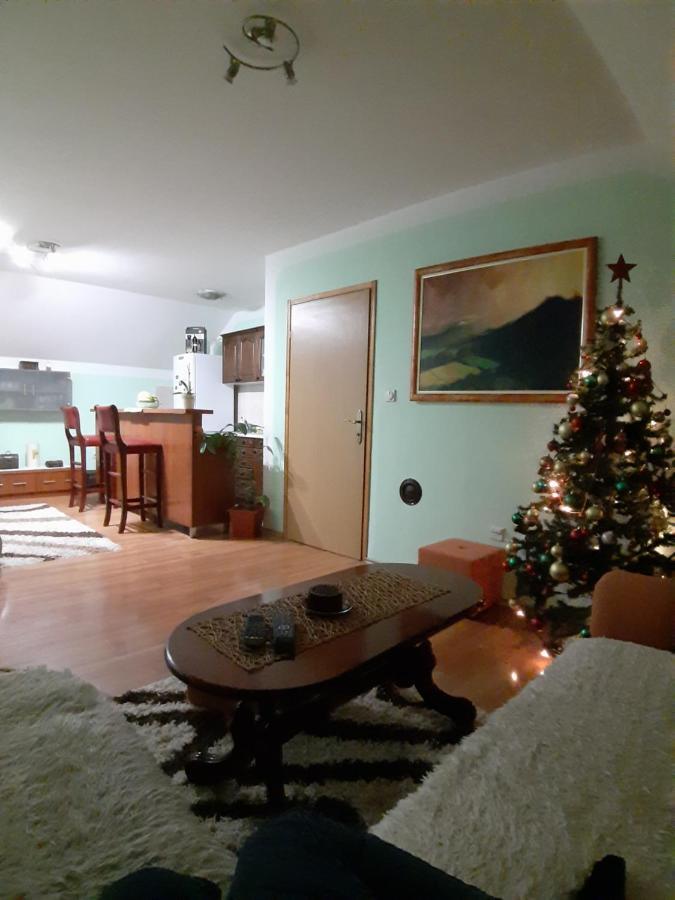 Apartman Sara Pale - Ski Centar Ravna Planina Zewnętrze zdjęcie